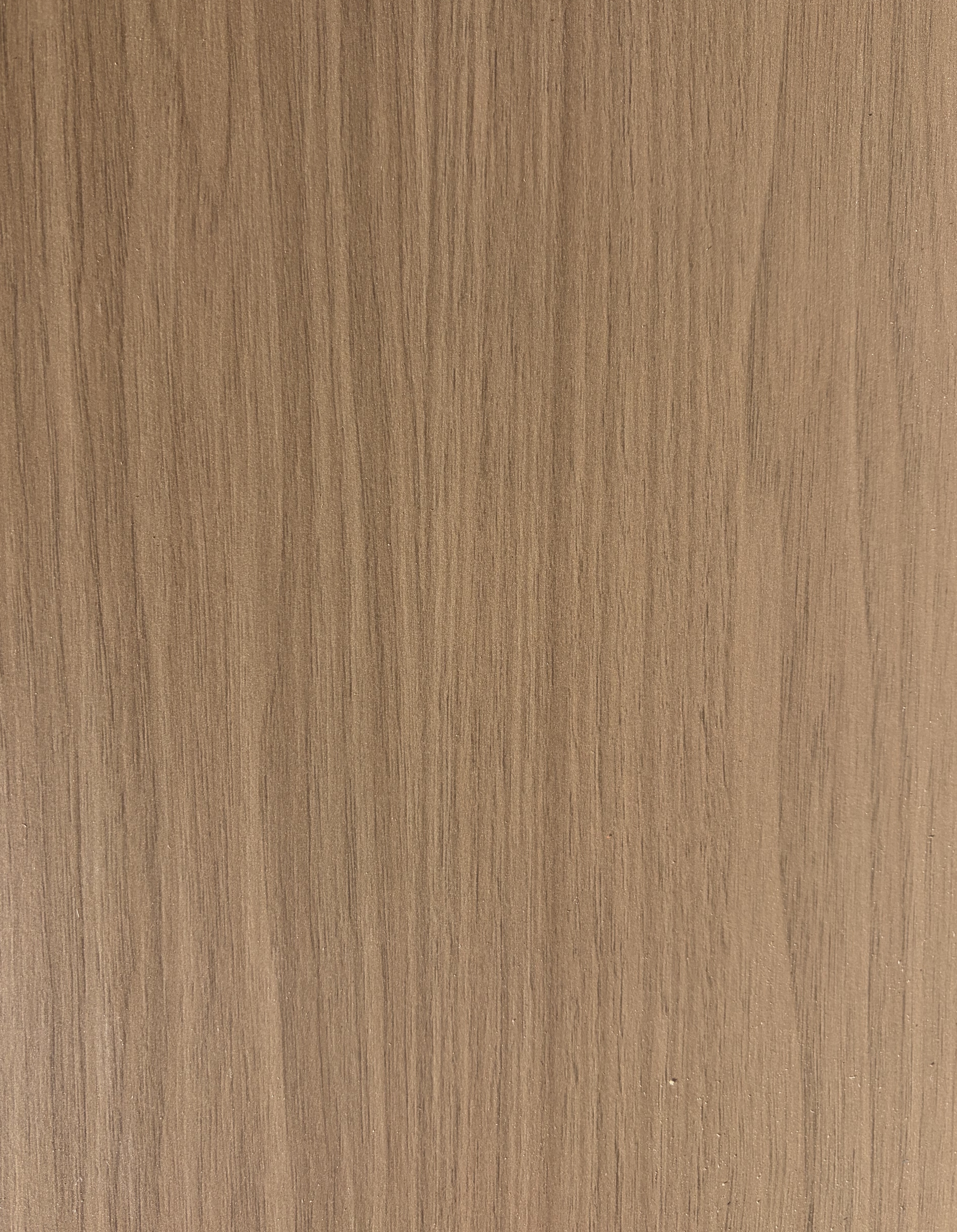 Urban Shadow Oak Closeup