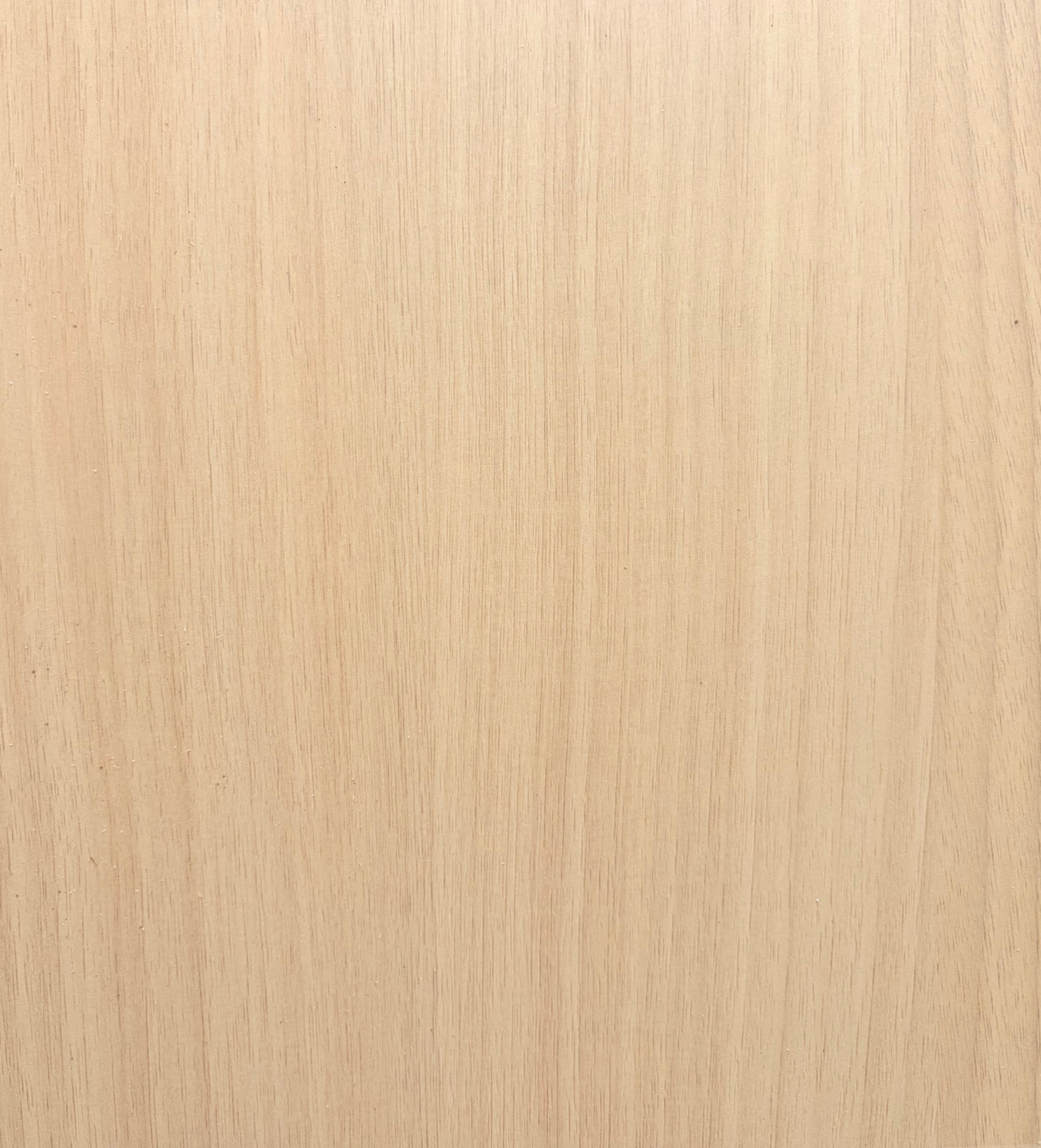 Misted Oak Closeup