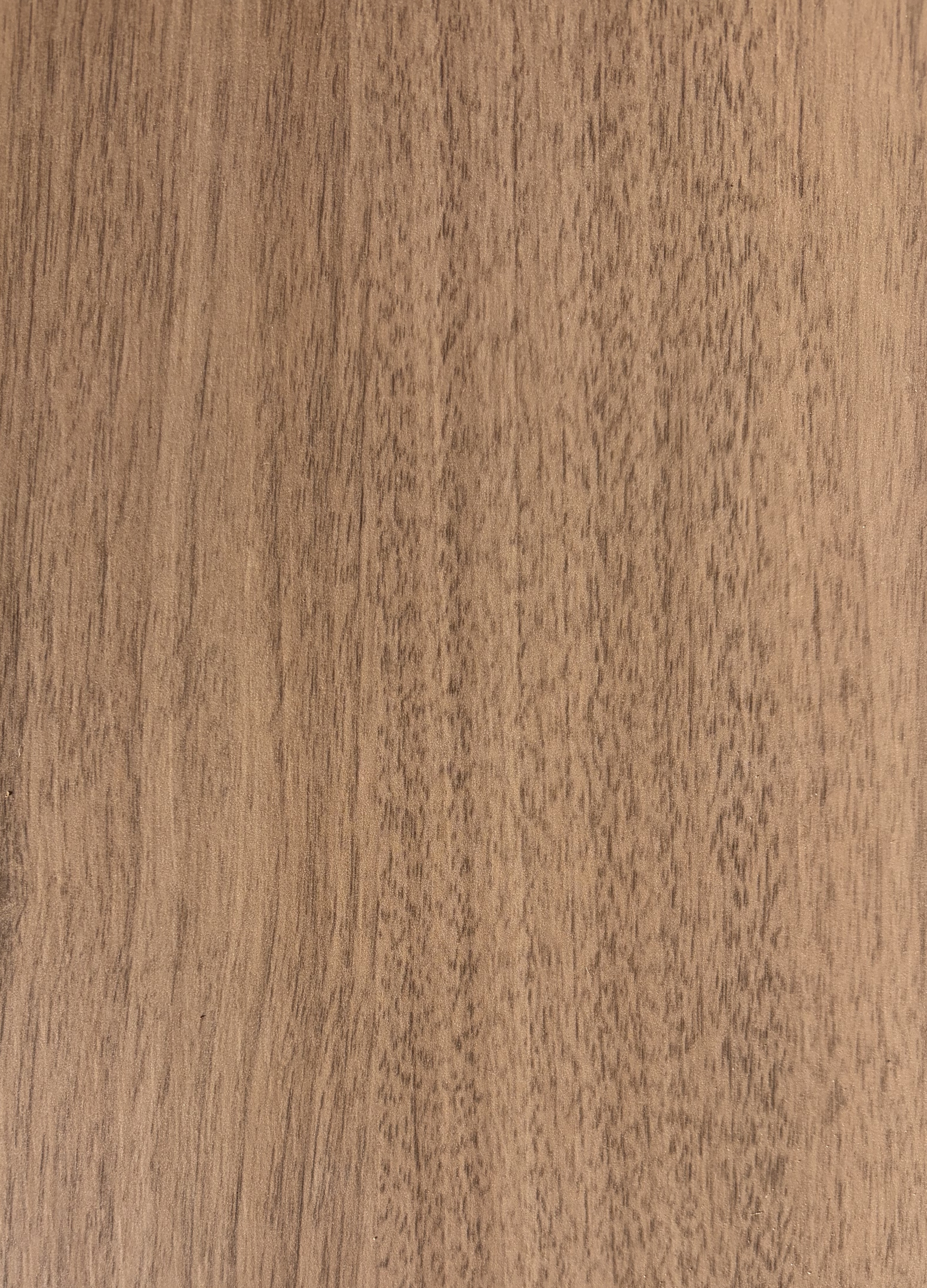 Honeyed Amber Oak Closeup